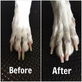 Dog Nail Grinder (NOISE FREE)